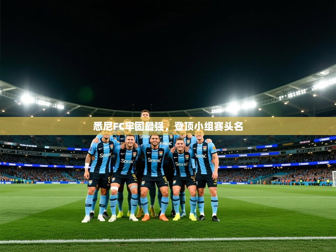 悉尼FC牢固最强,登顶小组赛头名 第2张