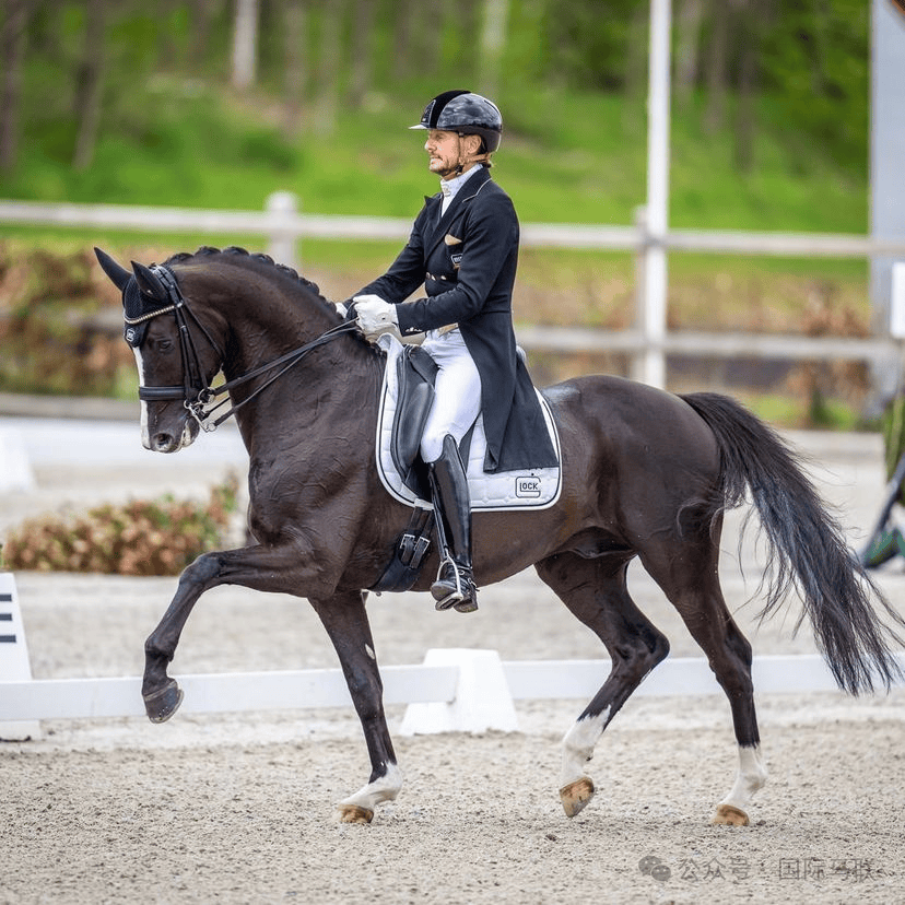 澳大利亚马术选手优雅斩获金牌