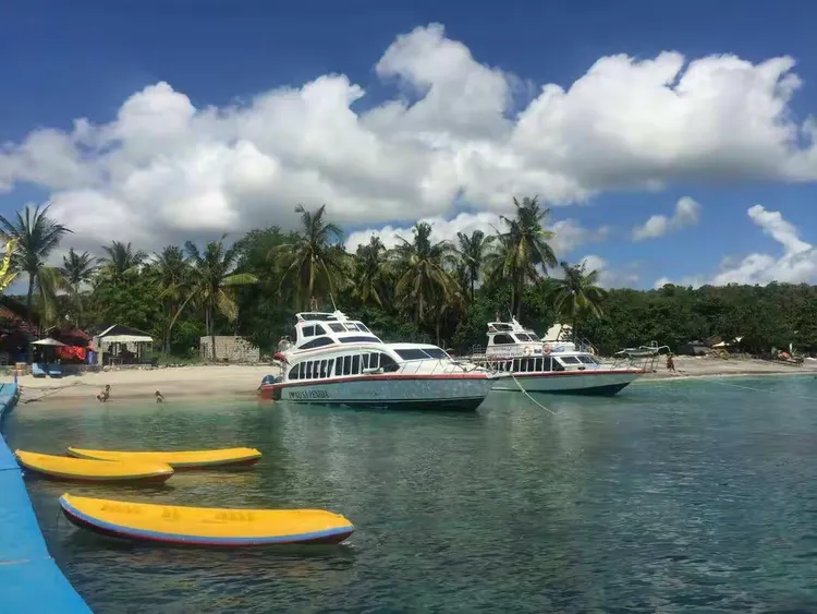 巴黎高行指望成功，潮水就要涌来的简单介绍